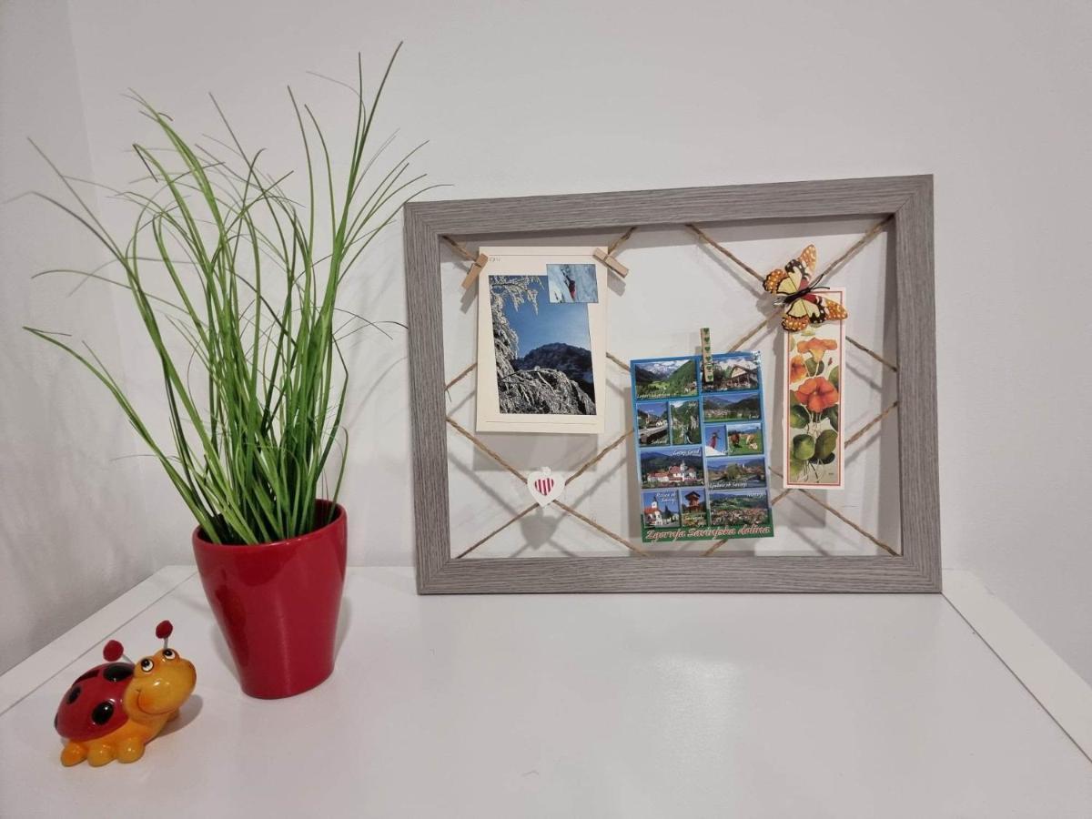 Ljubno Apartmaji Ribic מראה חיצוני תמונה